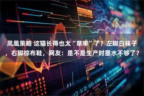 凤凰策略 这猫长得也太“草率”了？左脚白袜子，右脚棕布鞋，网友：是不是生产时墨水不够了？