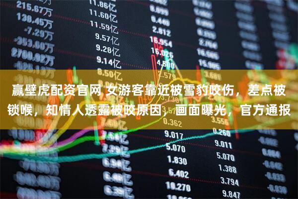 赢壁虎配资官网 女游客靠近被雪豹咬伤，差点被锁喉，知情人透露被咬原因，画面曝光，官方通报