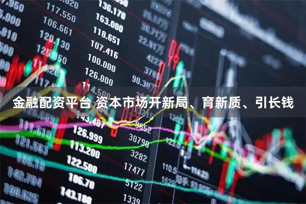 金融配资平台 资本市场开新局、育新质、引长钱